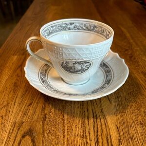 Dresden teacup and saucer Hutschenreuther Campagna perfect condition